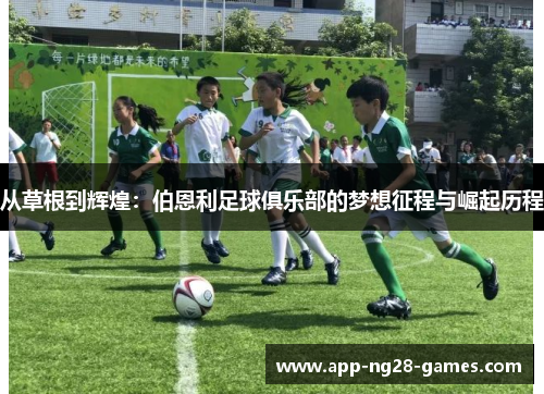 从草根到辉煌：伯恩利足球俱乐部的梦想征程与崛起历程