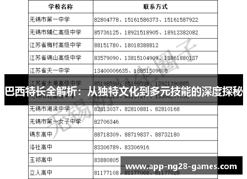 巴西特长全解析：从独特文化到多元技能的深度探秘