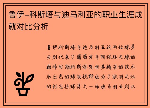 鲁伊-科斯塔与迪马利亚的职业生涯成就对比分析